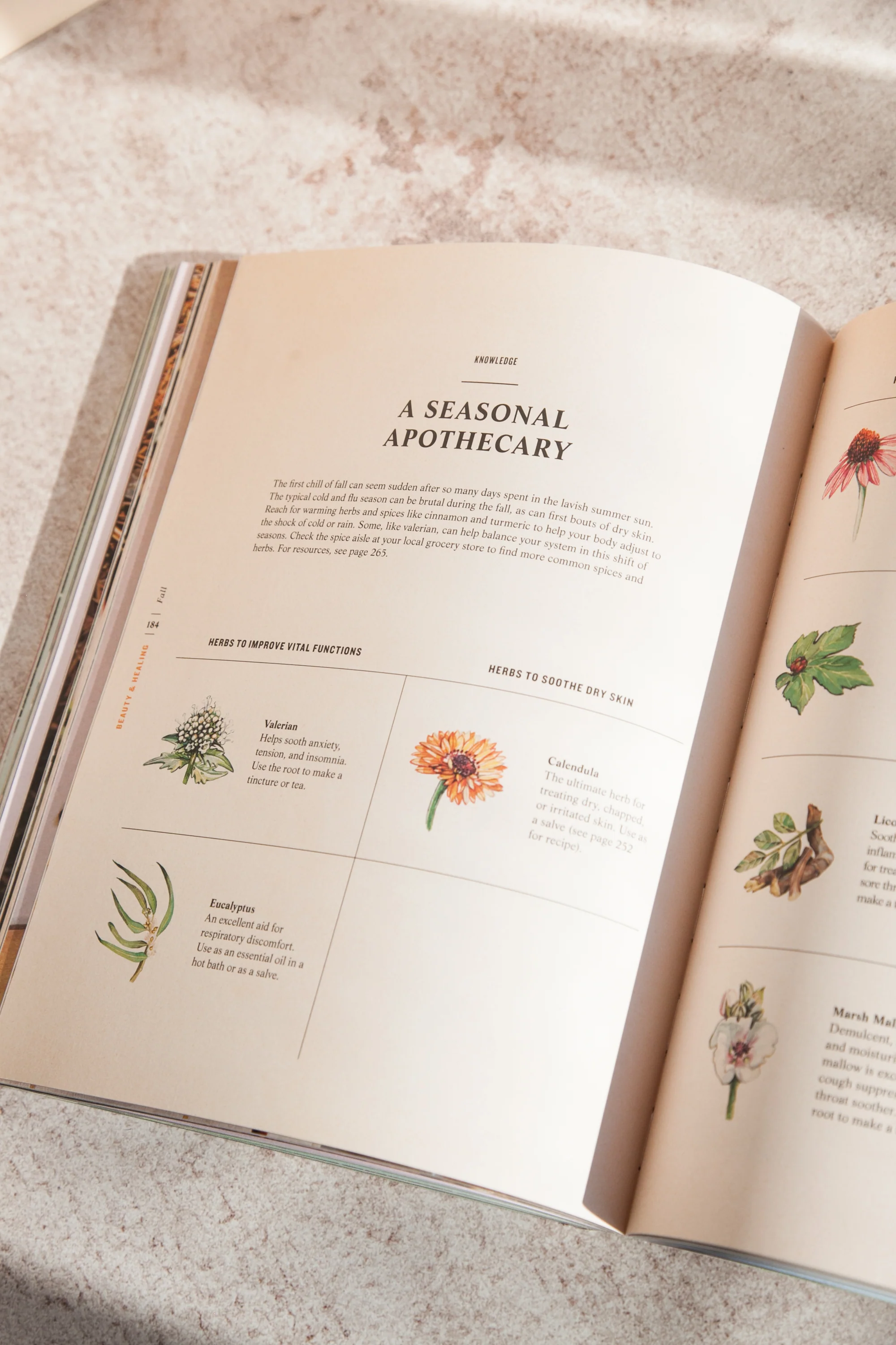 A Wilder Life: A Season-by-Season Guide to Getting in Touch with Nature - Image 3