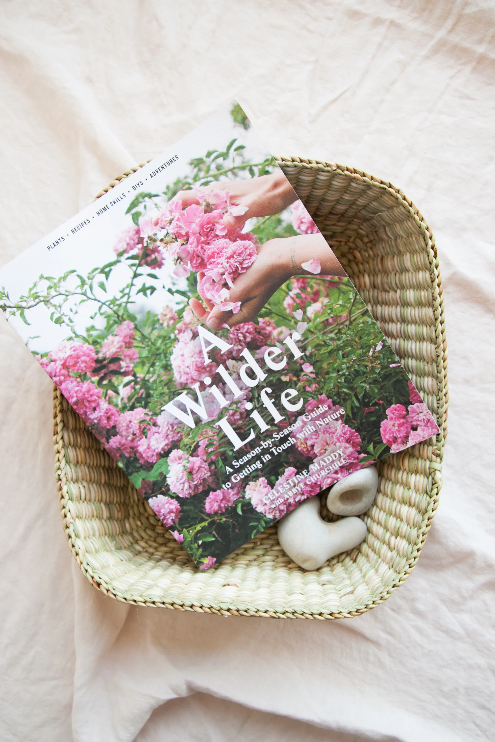 A Wilder Life: A Season-by-Season Guide to Getting in Touch with Nature - Image 4