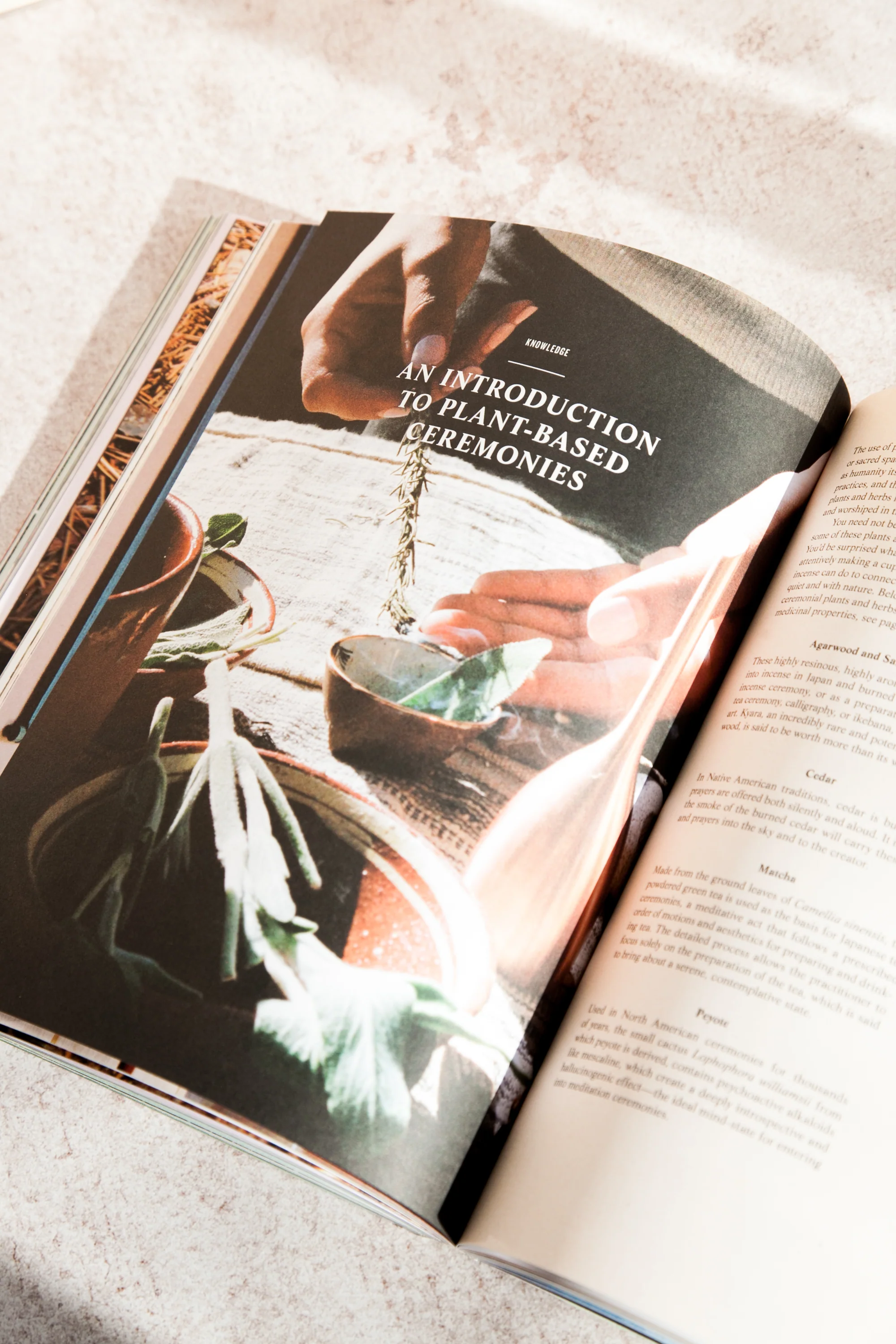 A Wilder Life: A Season-by-Season Guide to Getting in Touch with Nature - Image 5