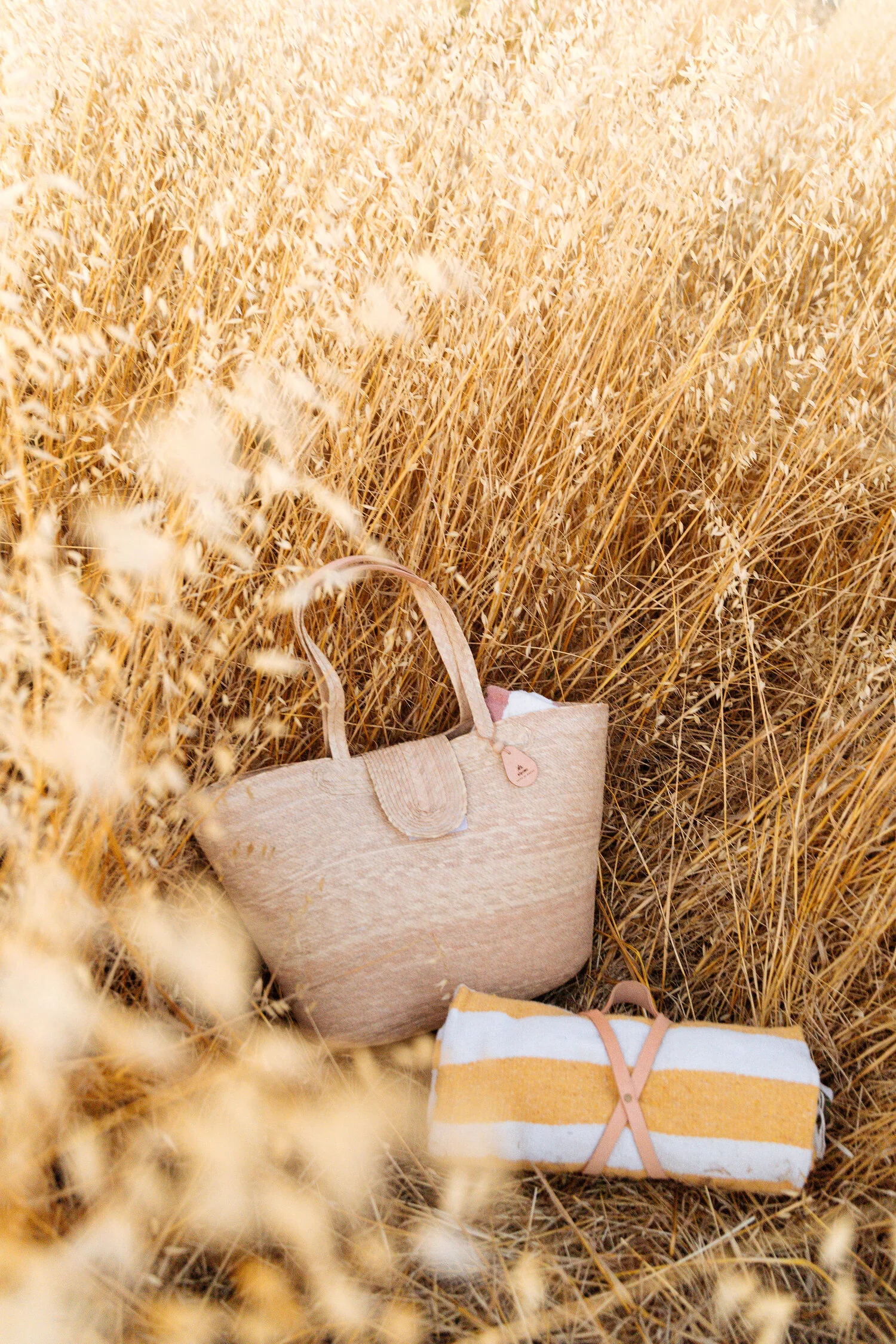 Basket Canasta - Image 3