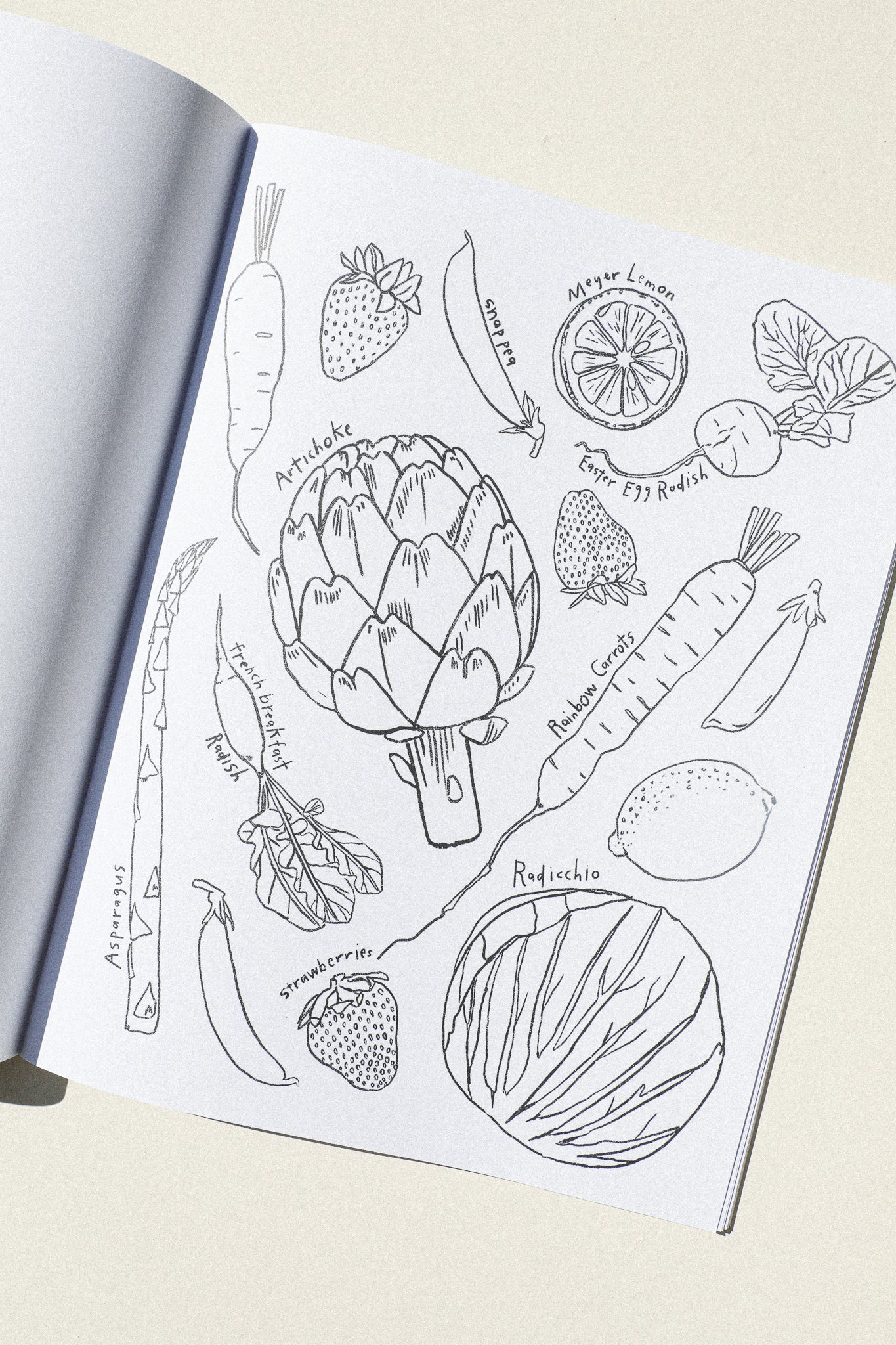 A Garden For All Seasons Coloring Book - Image 4
