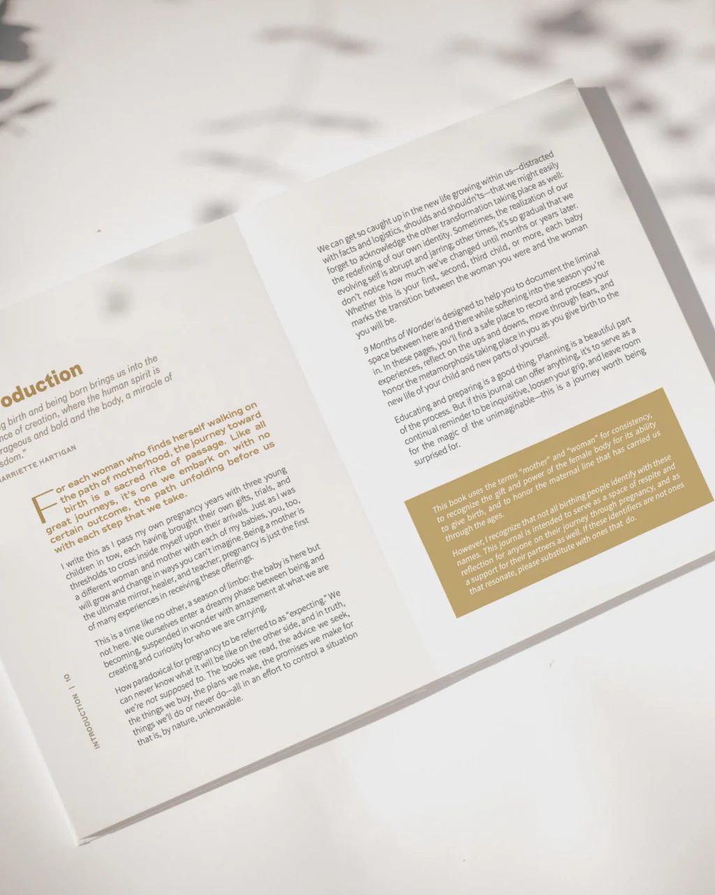 9 Months of Wonder Journal - Image 3