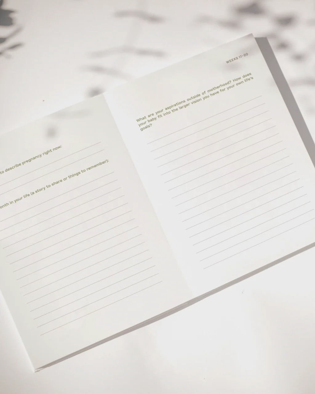 9 Months of Wonder Journal - Image 4