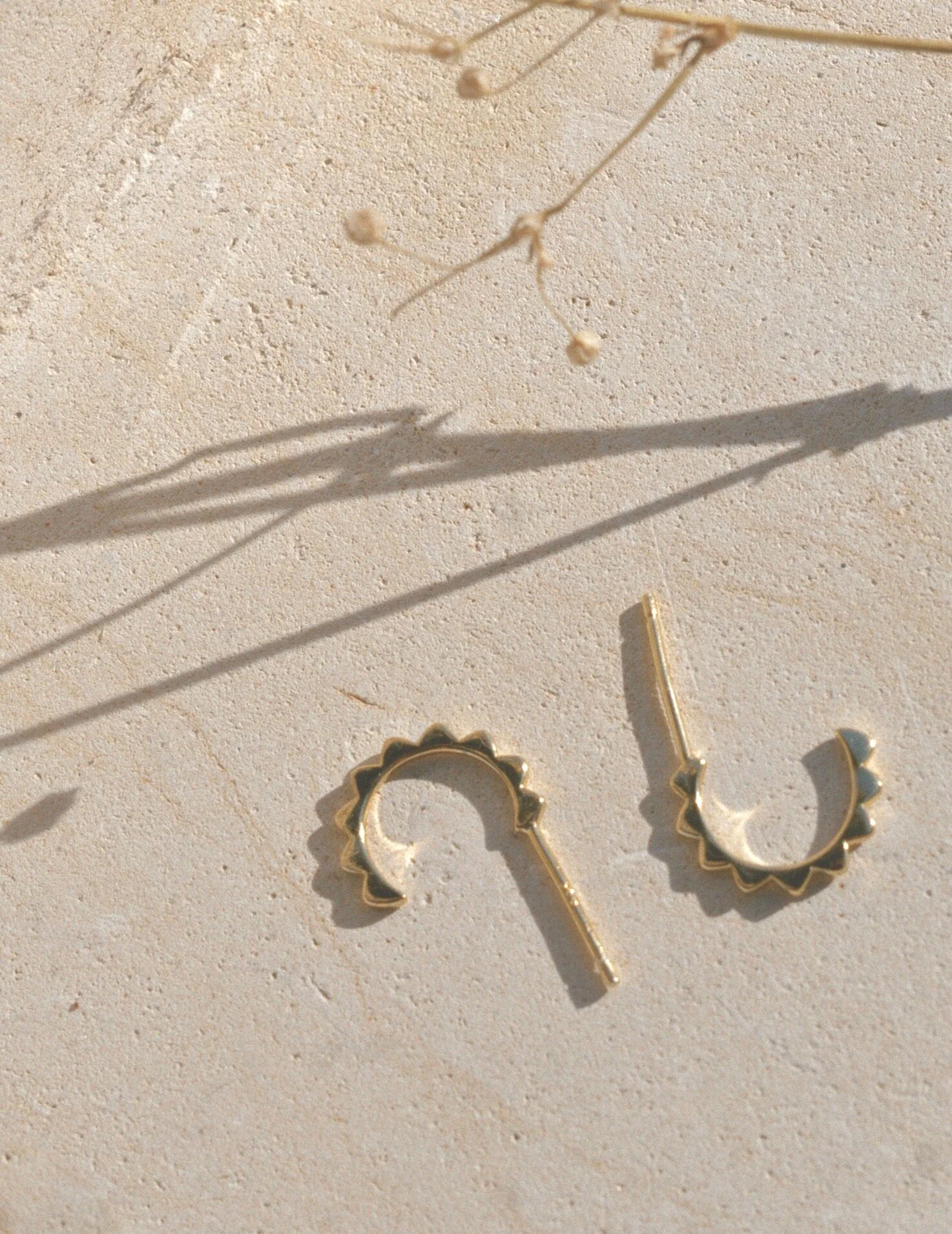 Leon Hoops - Image 3