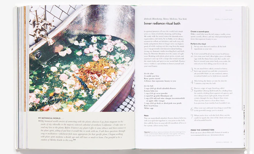 The Botanical Bible - Image 3